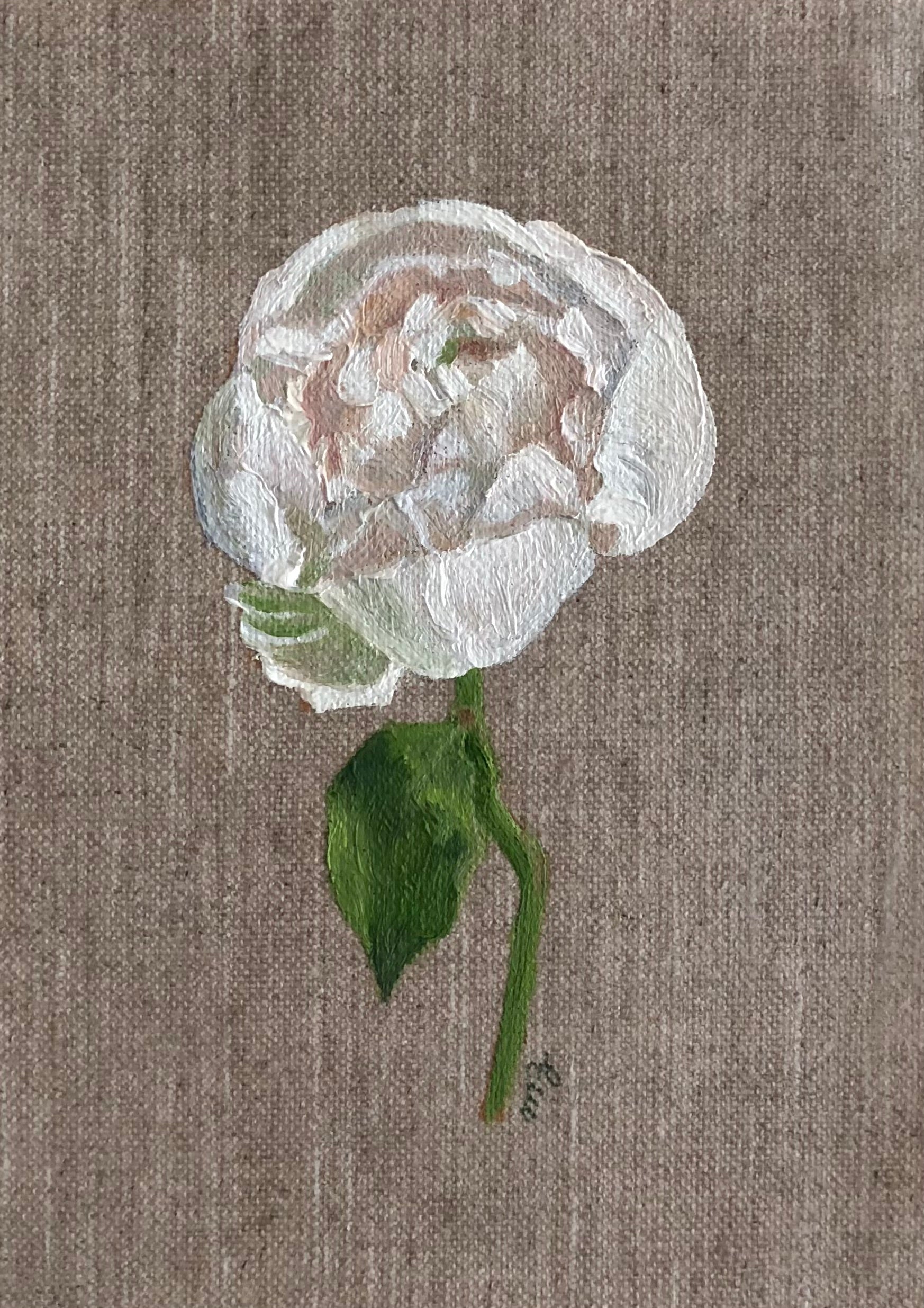 Peony