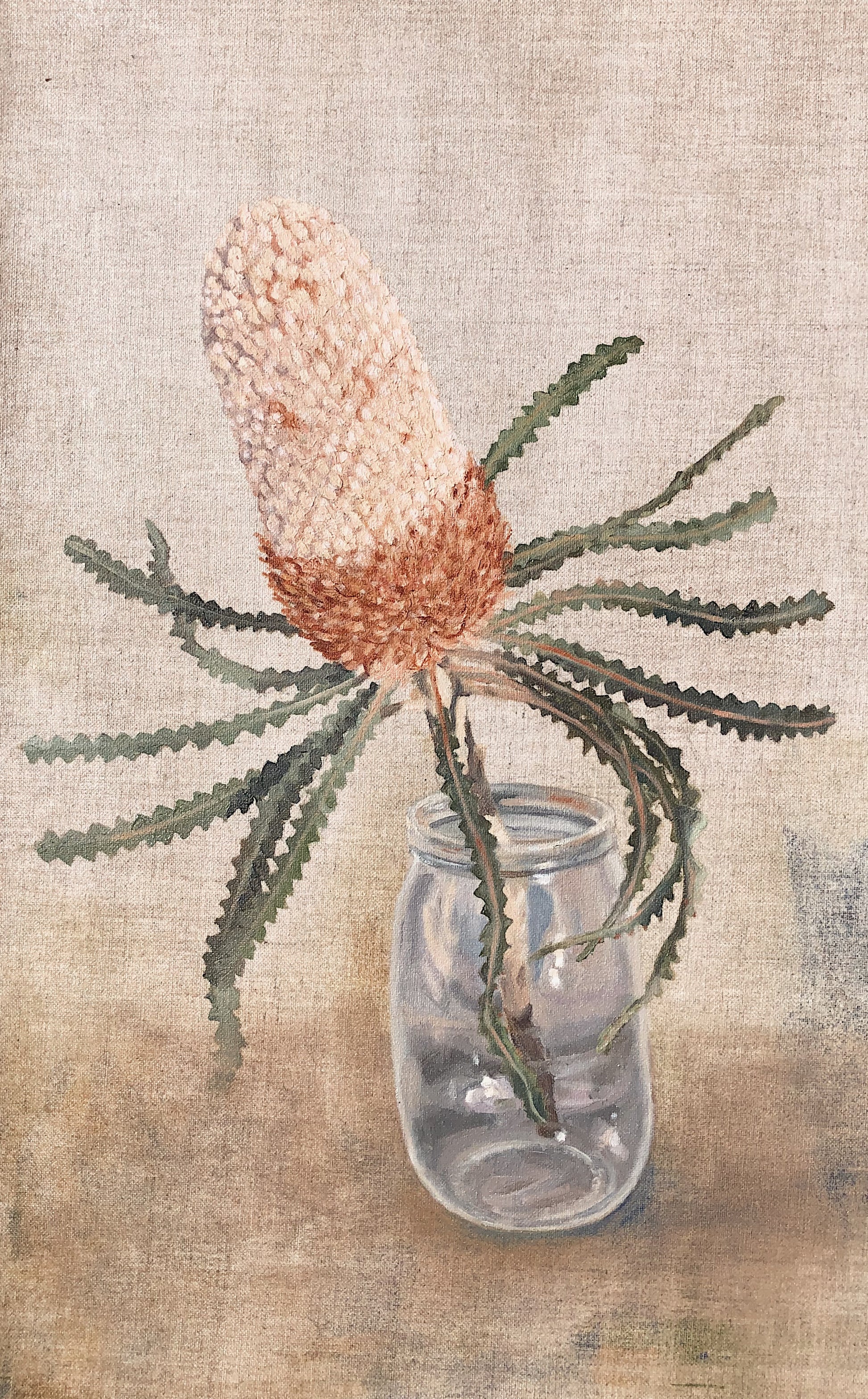 Banksia in Jar