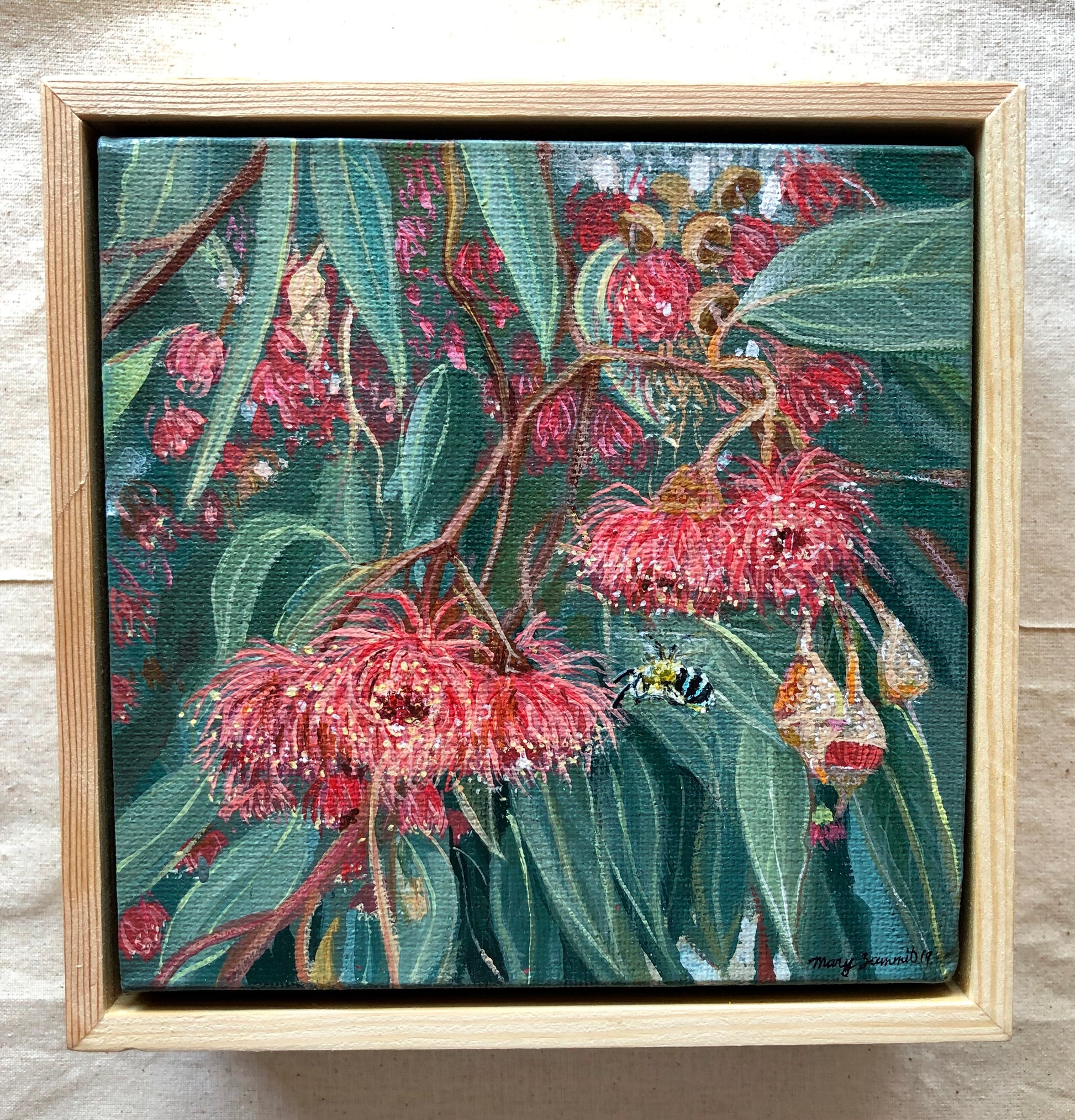 Flowering Gum & Blue Banded Bee