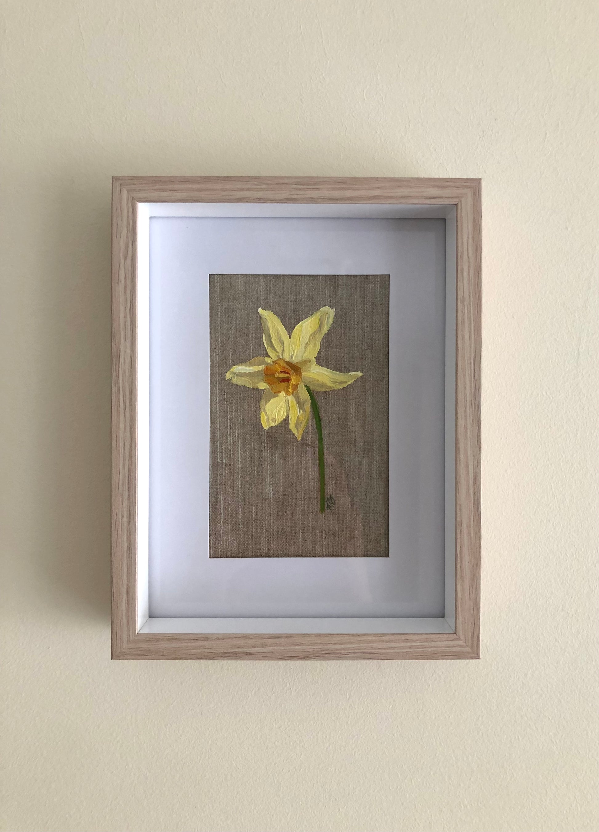 Daffodil