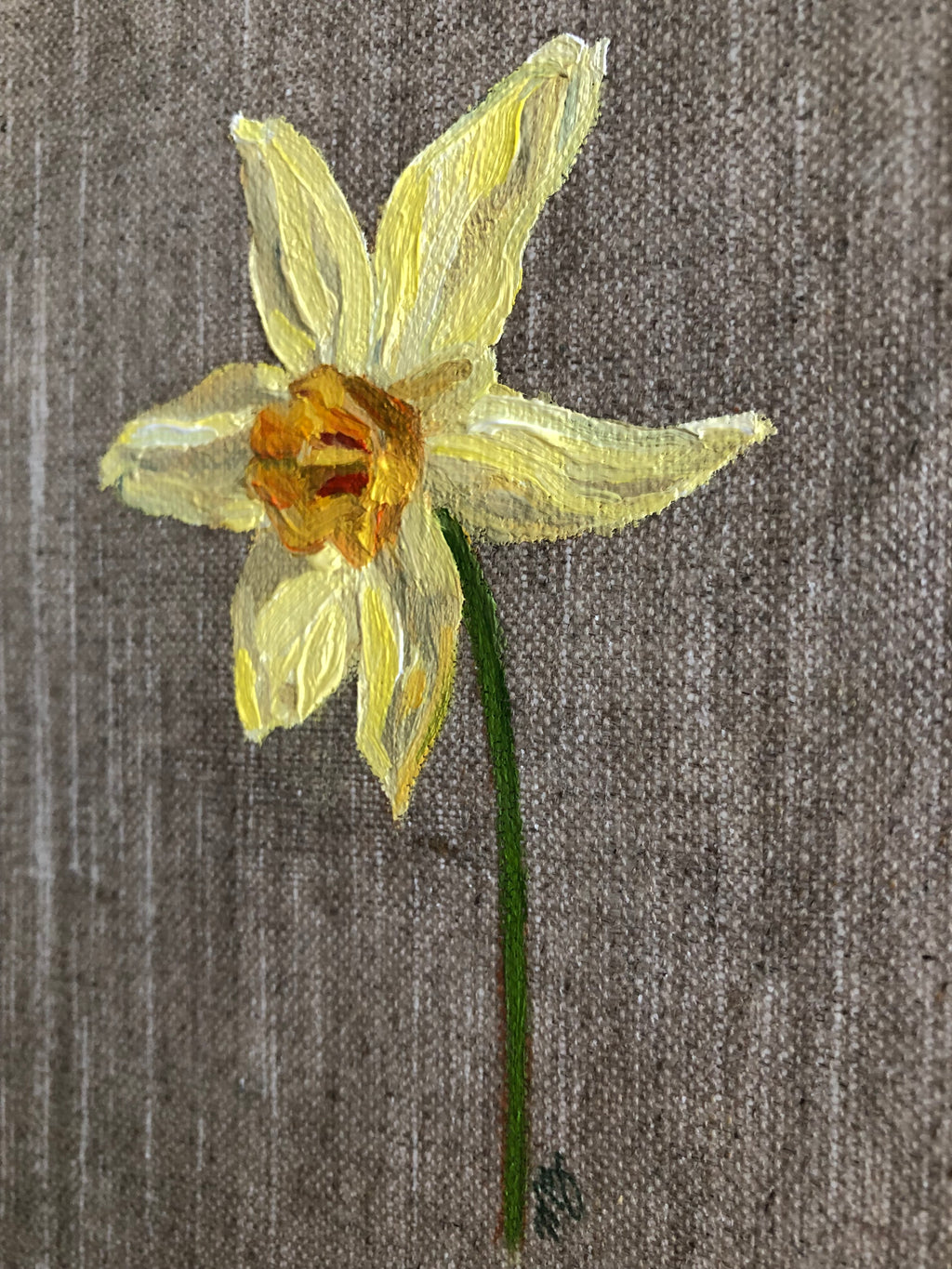 Daffodil
