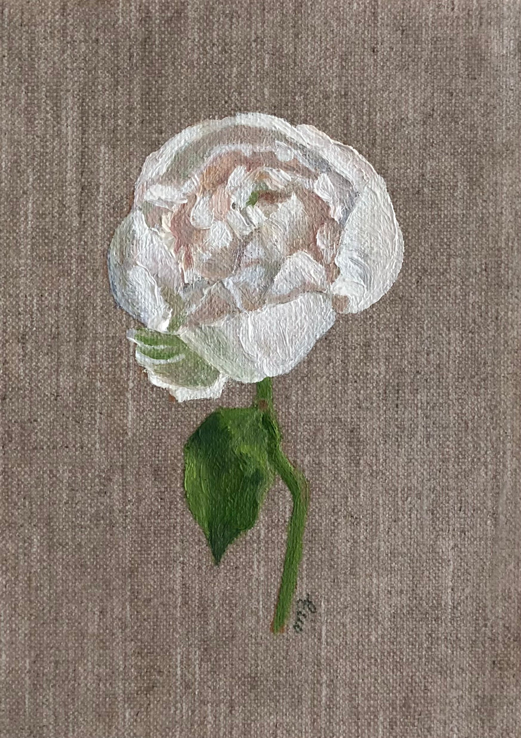 Peony
