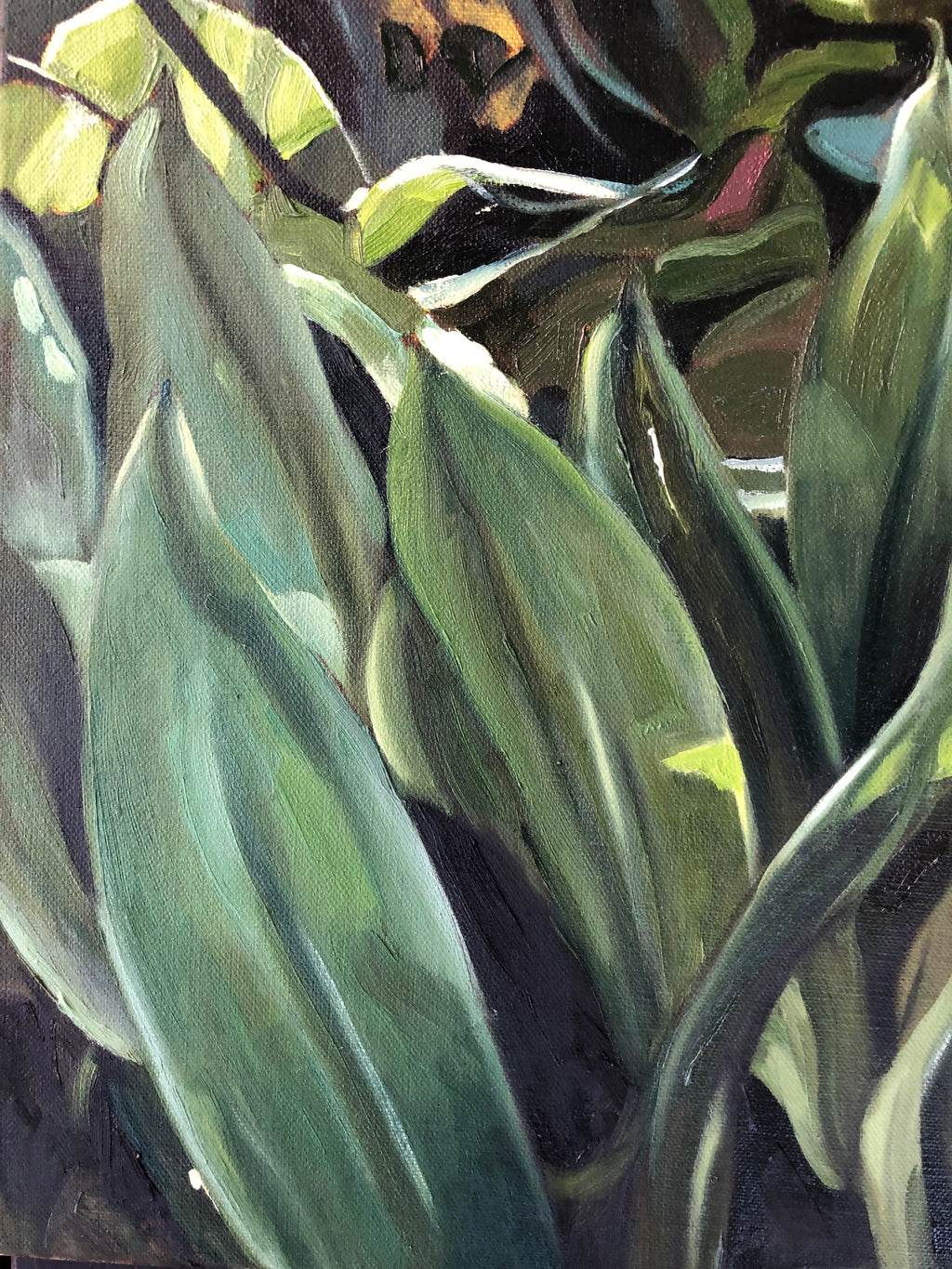 Where the Light Gets In