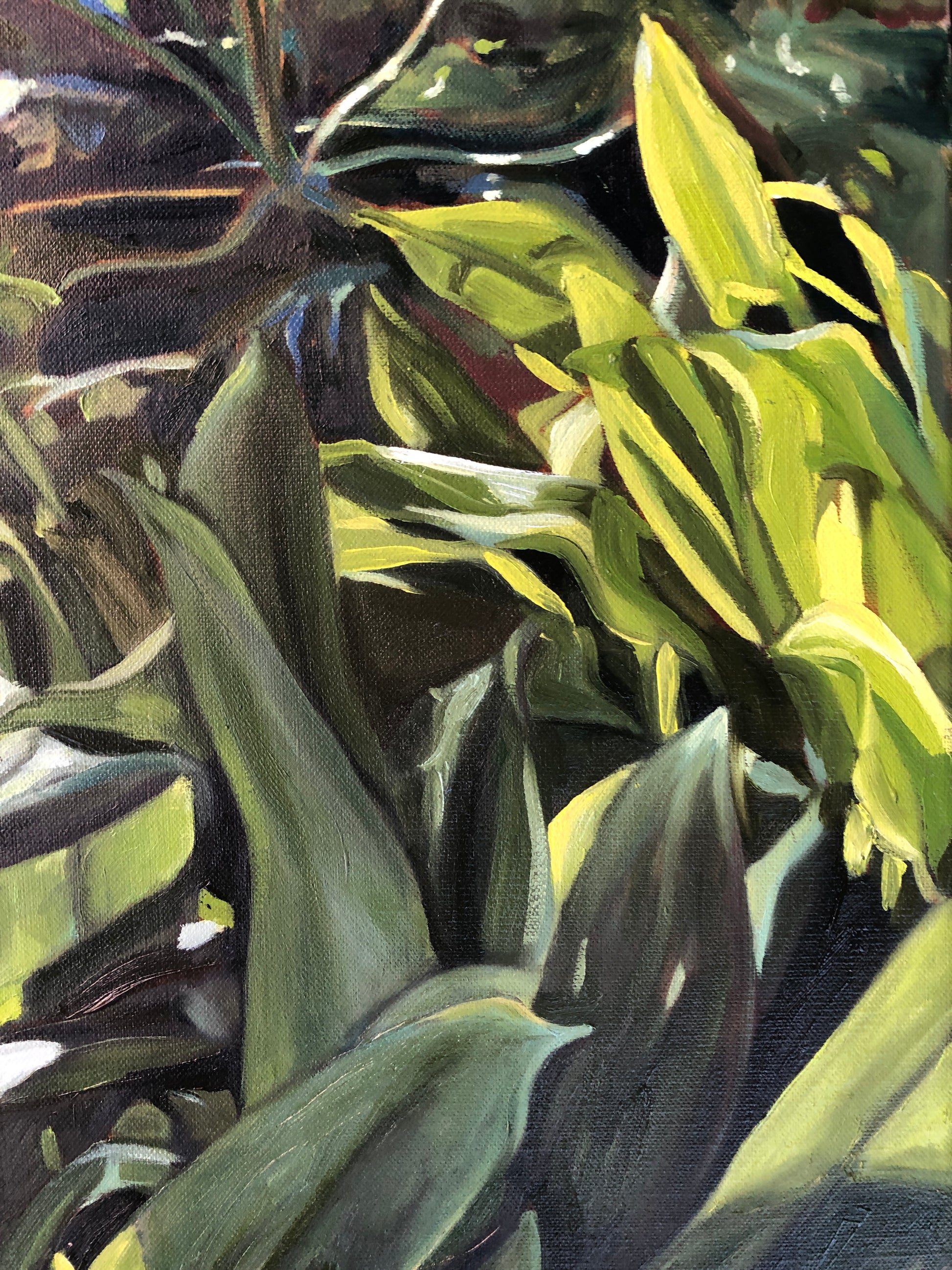 Where the Light Gets In