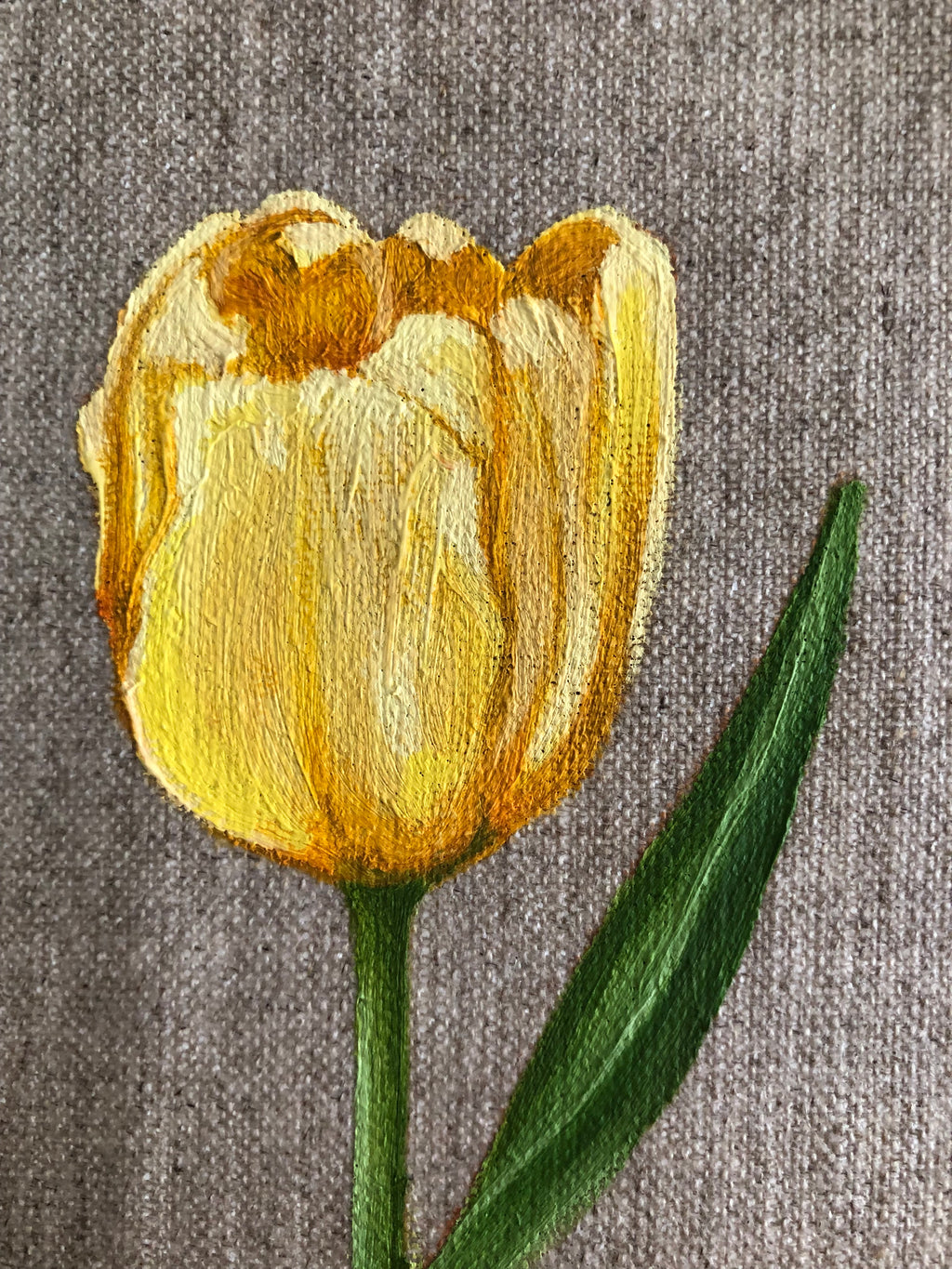 Tulip