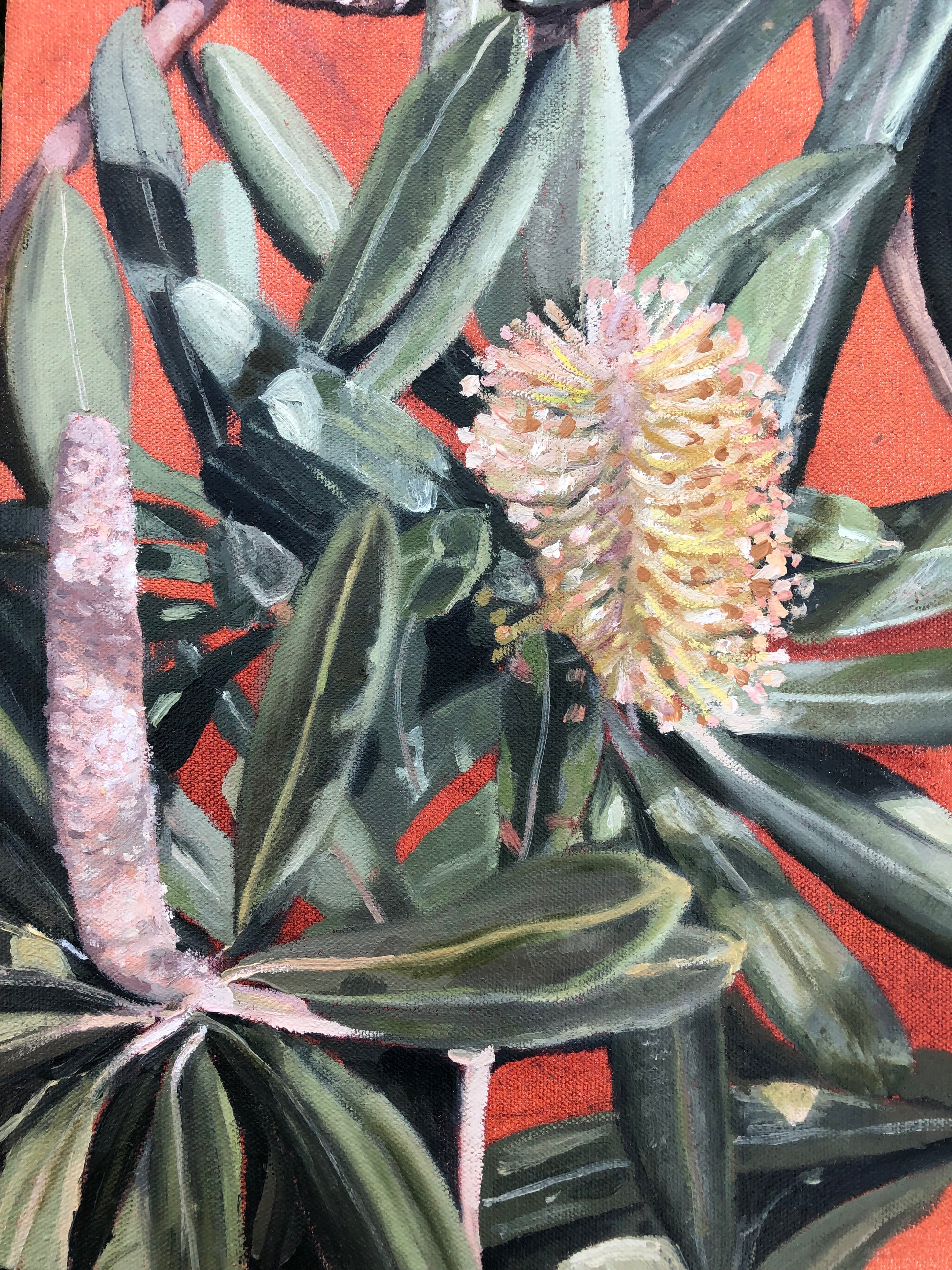 Banksia Garden