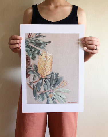 Banksia Garden