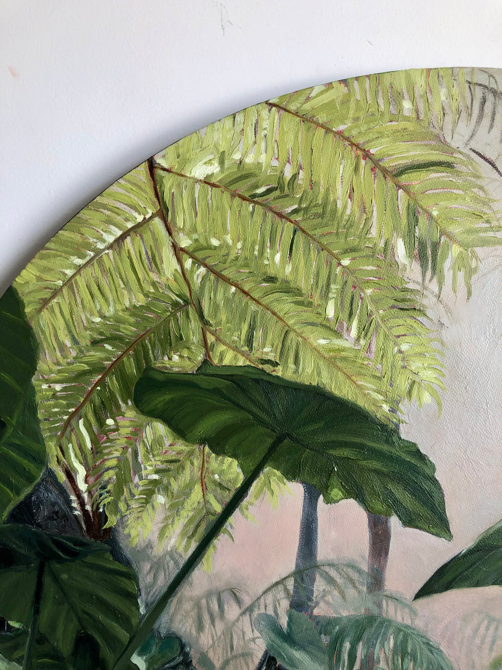 Oasis