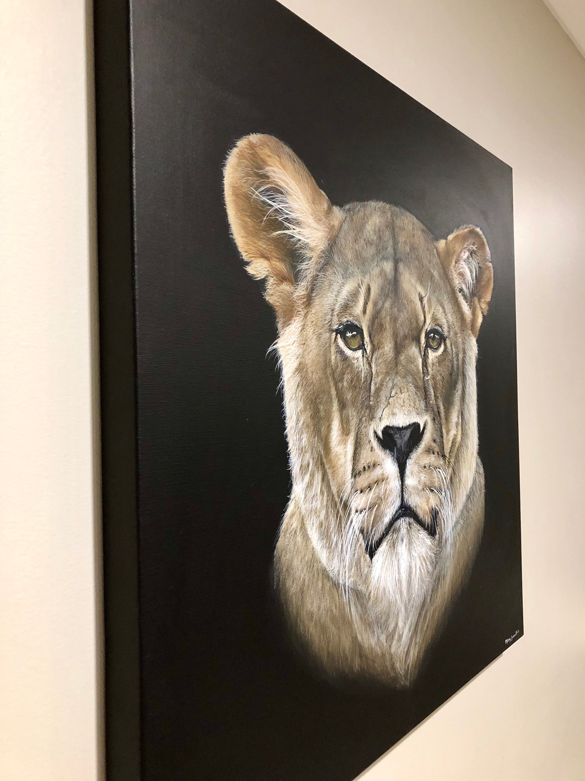 Original Lioness