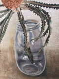 Banksia in Jar