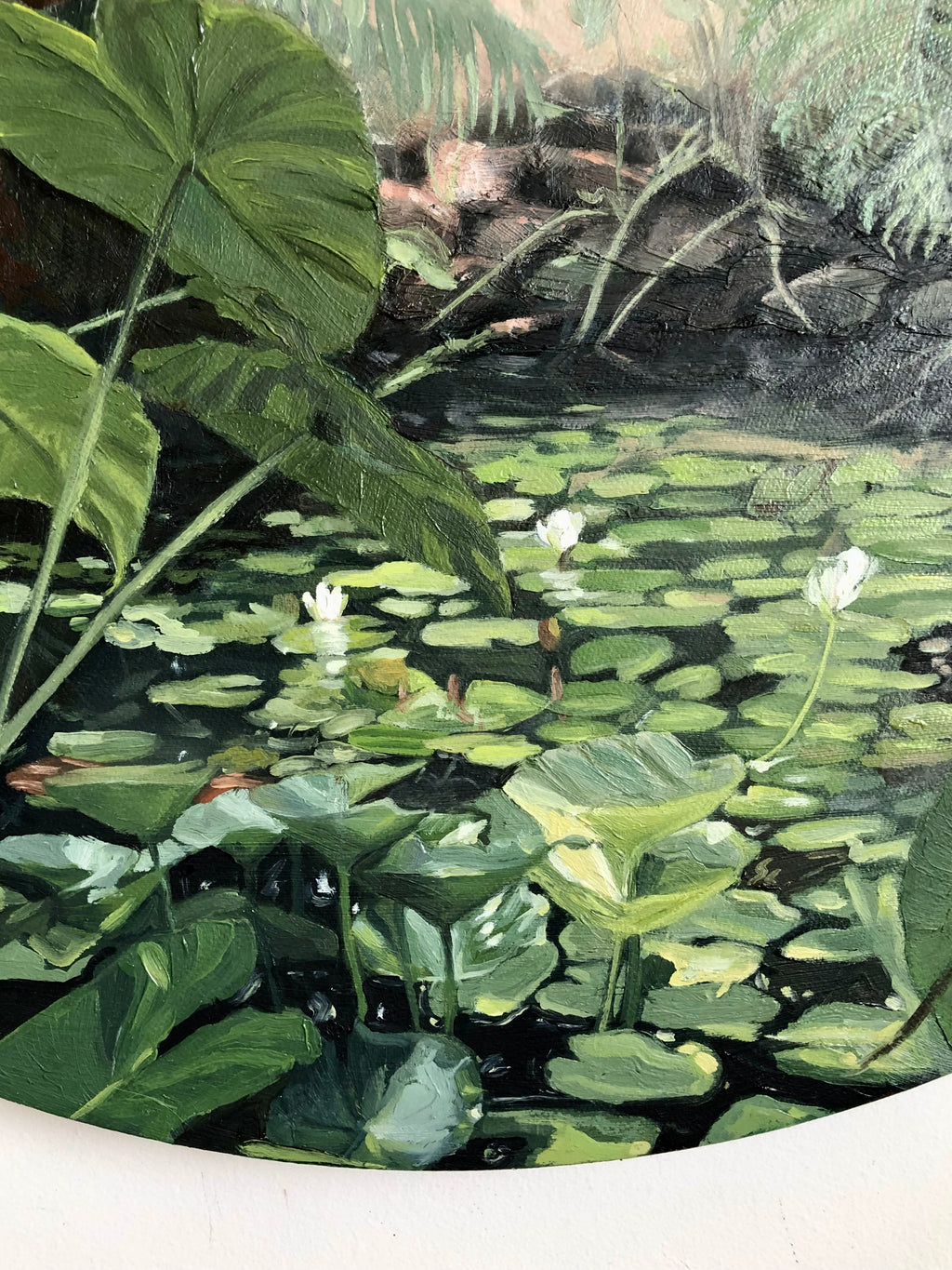 Oasis