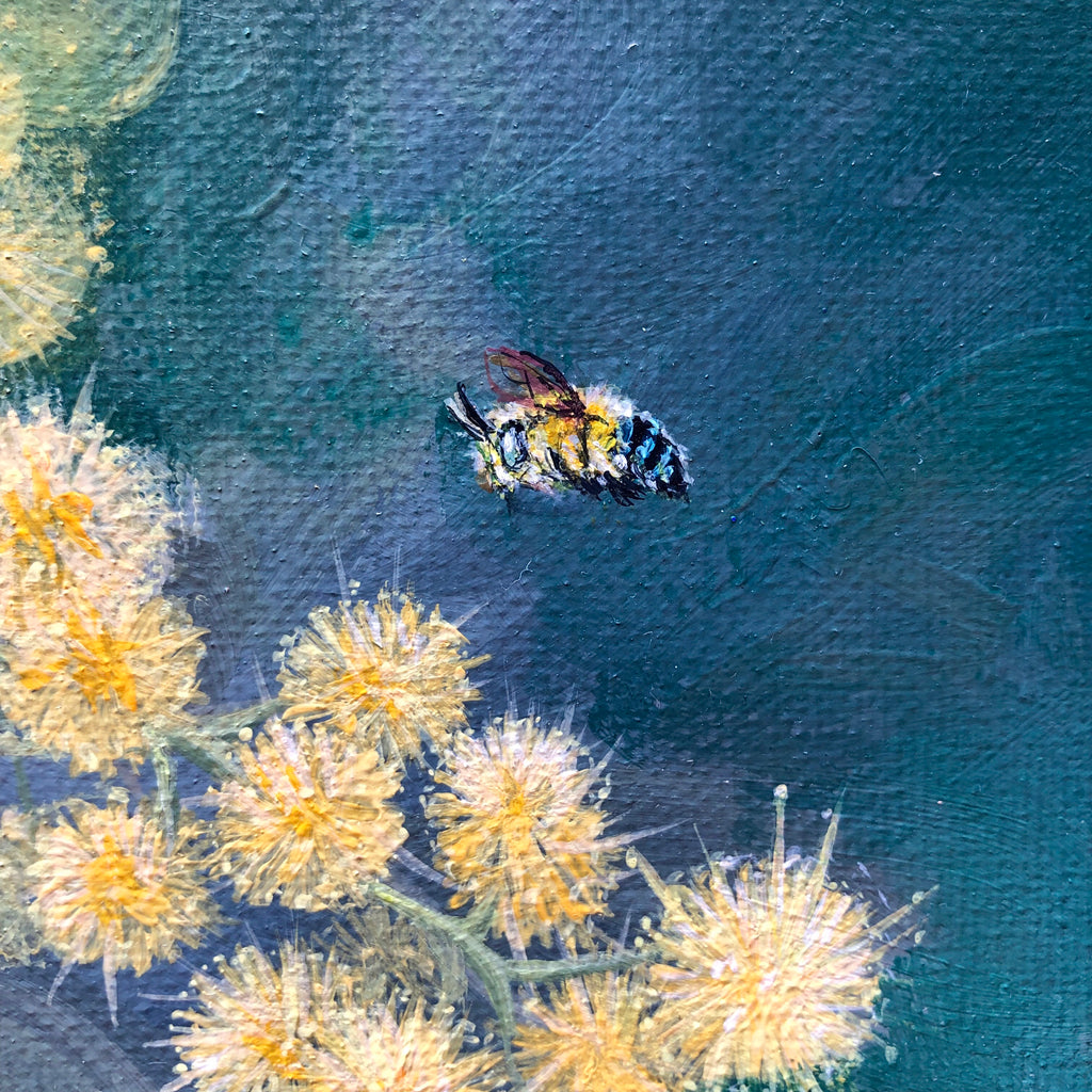 Wattle & Blue Banded Bees