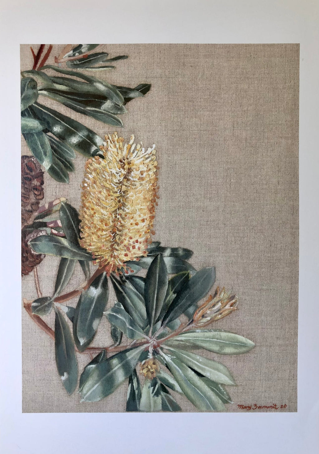 Banksia Garden