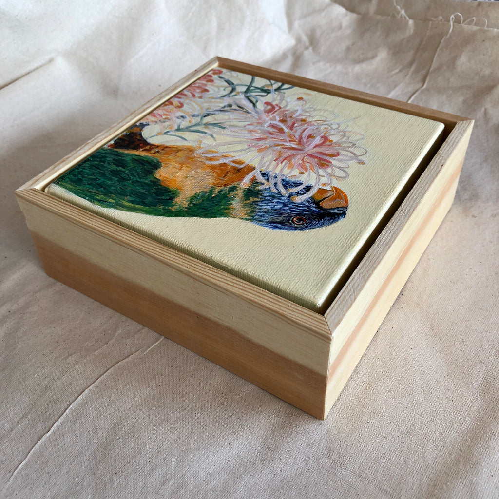 Rainbow Lorikeet & Grevillea