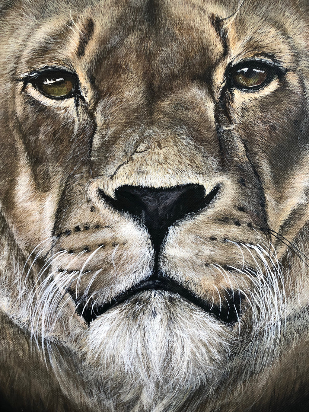 Original Lioness