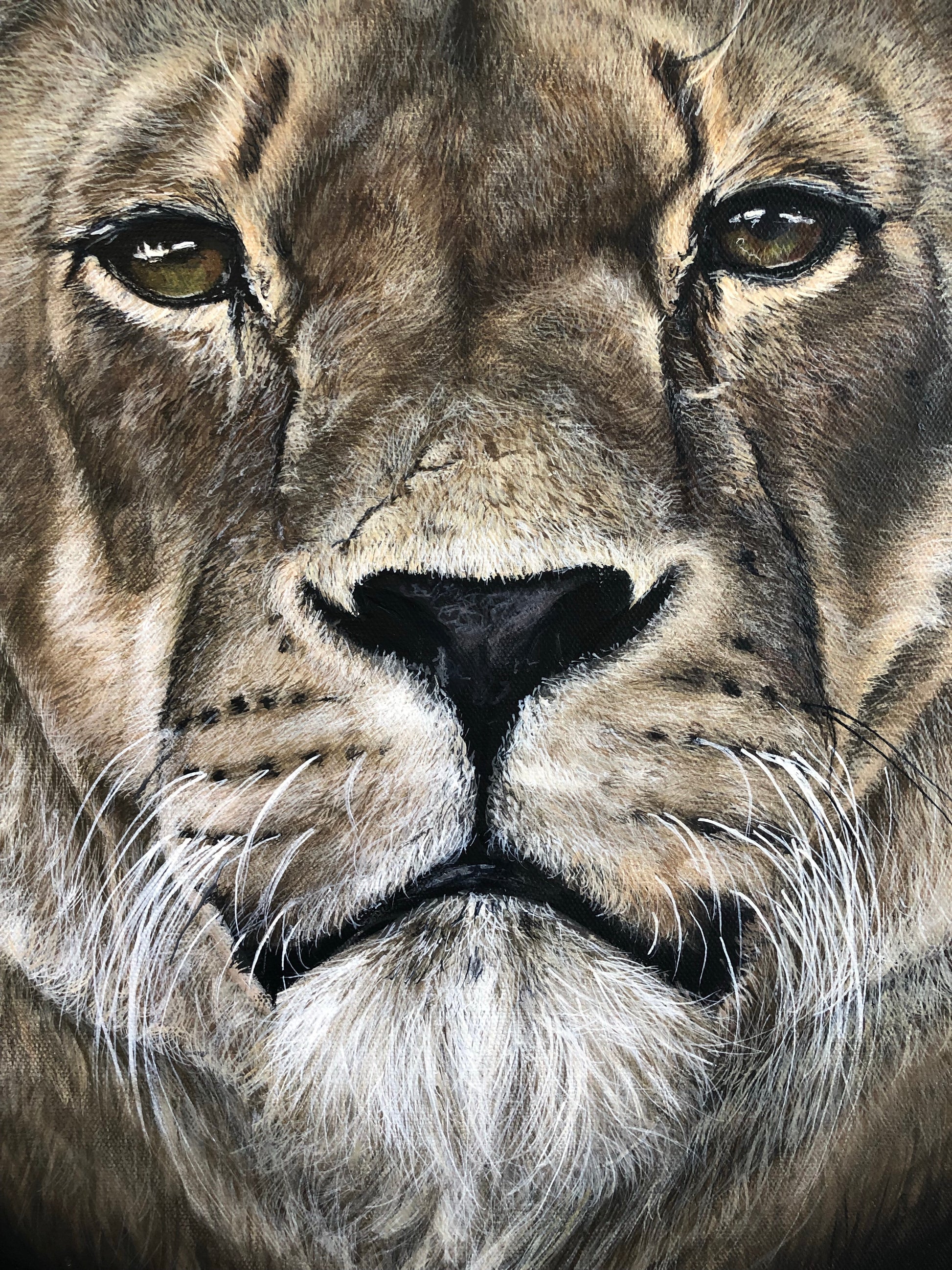 Original Lioness