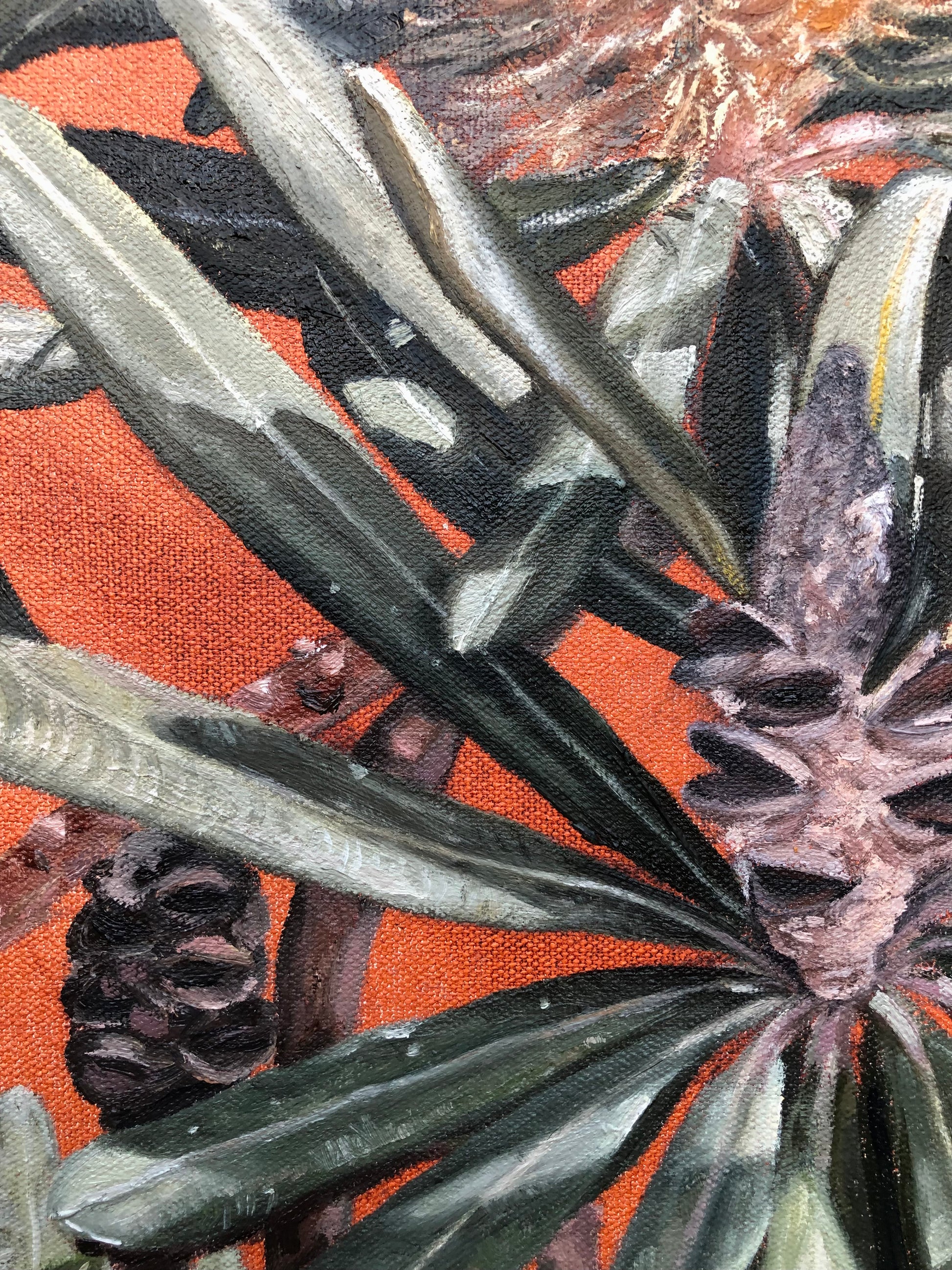 Banksia Garden