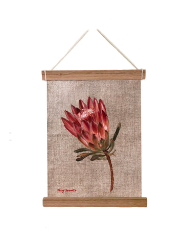 Sugar Bush Protea