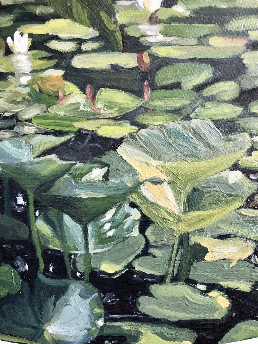 Oasis