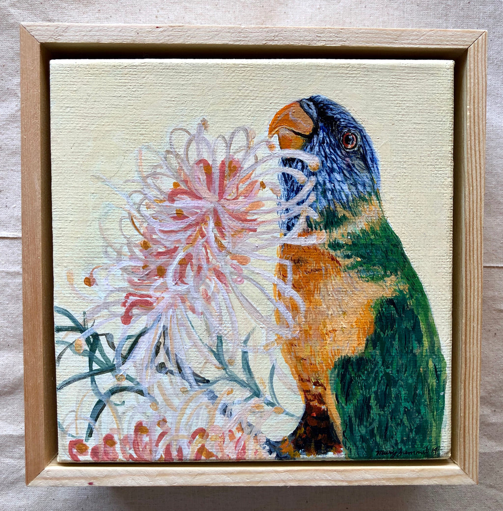 Rainbow Lorikeet & Grevillea