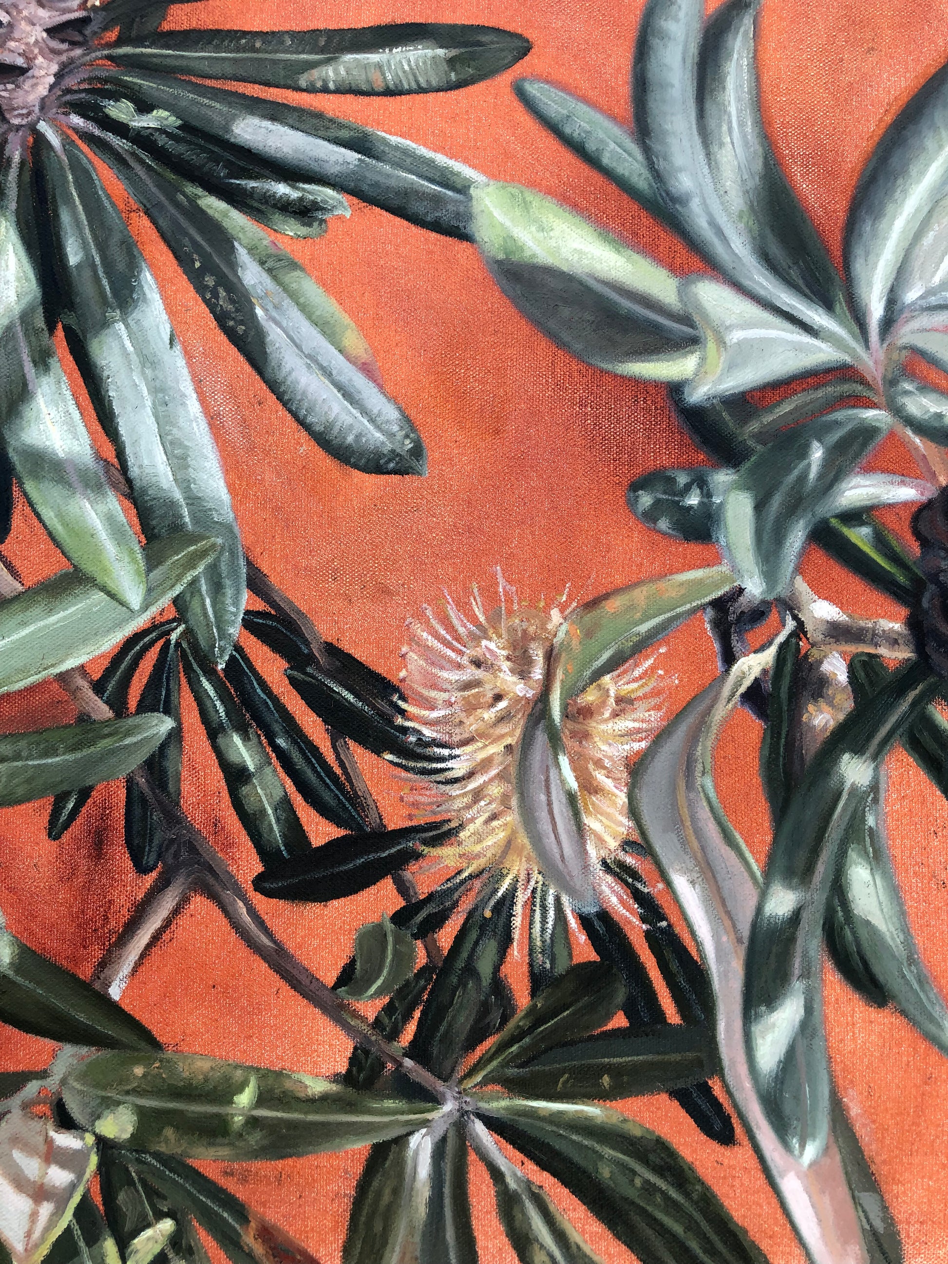 Banksia Garden