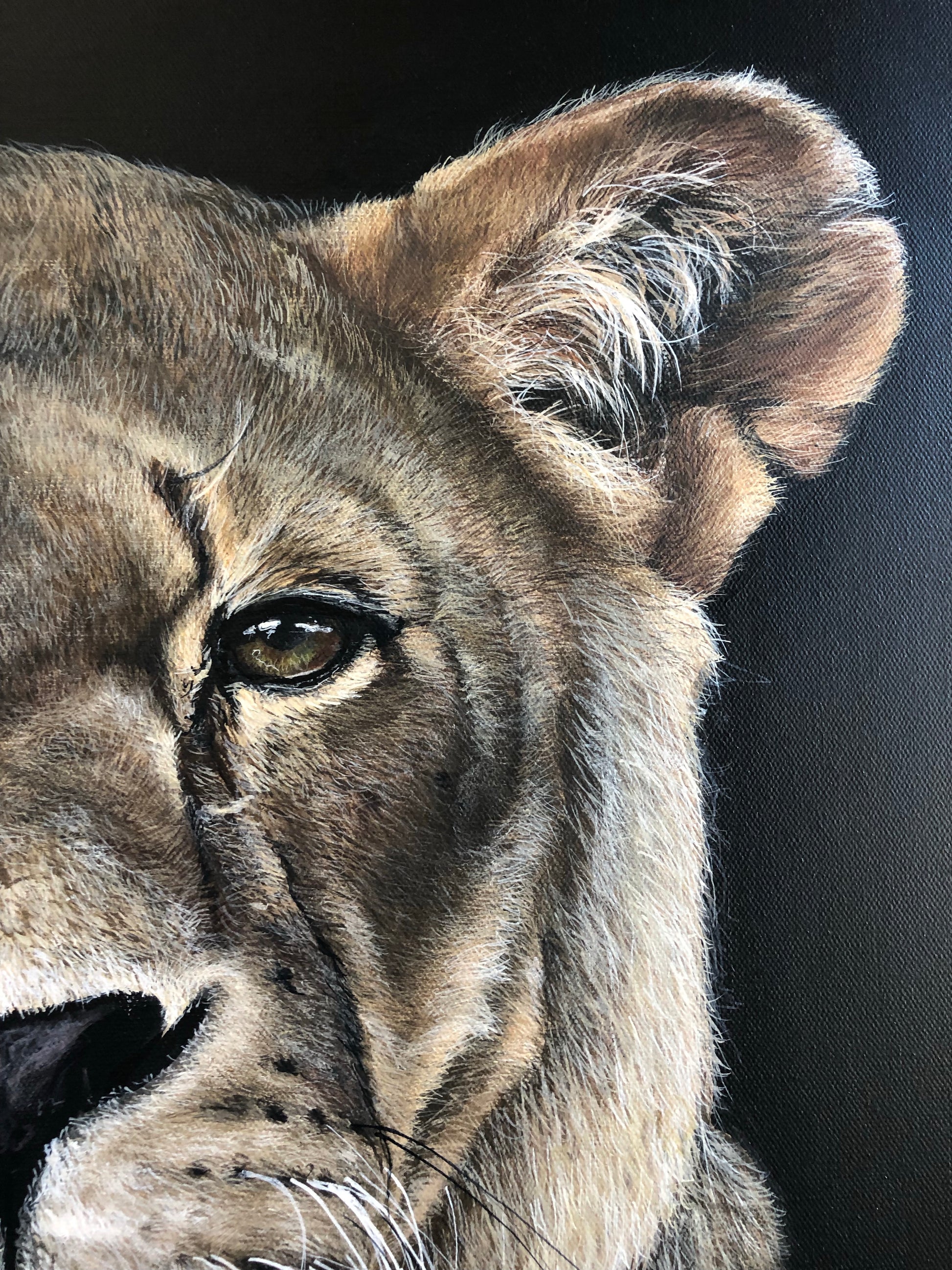 Original Lioness