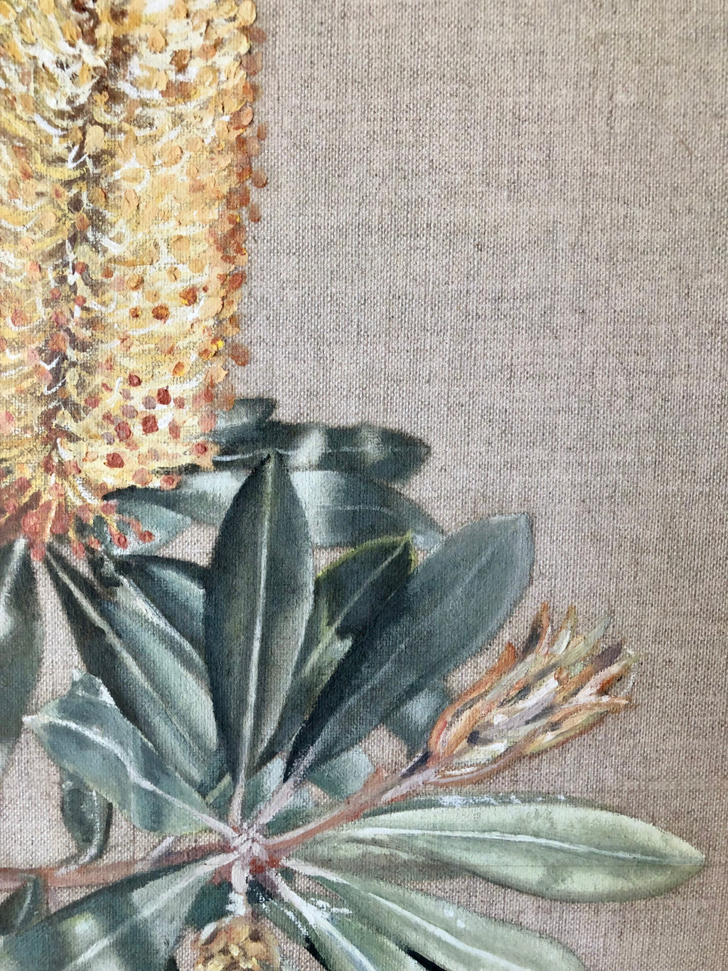 Banksia Garden
