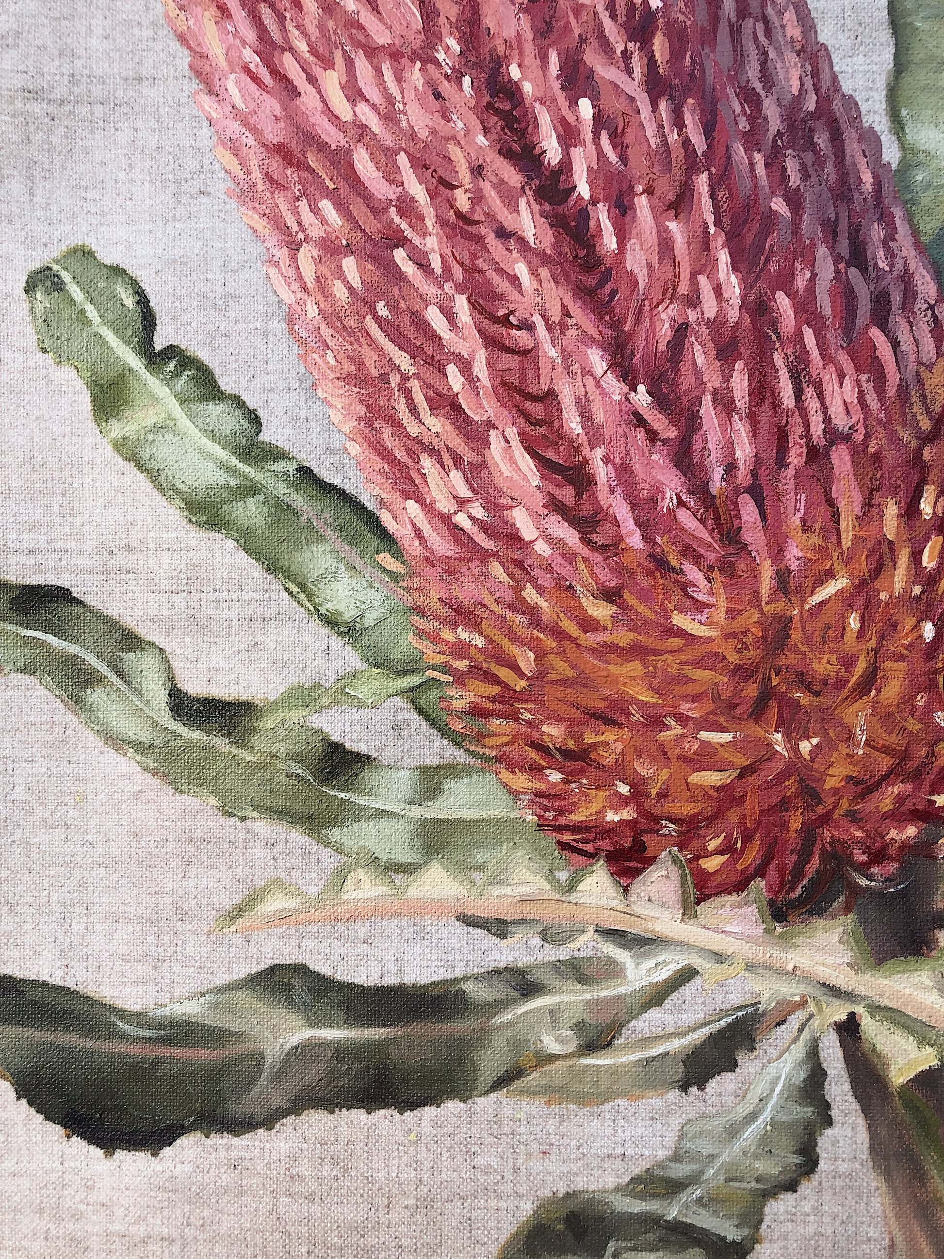 Banksia Duo