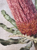 Banksia Duo