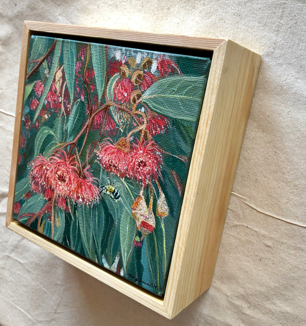 Flowering Gum & Blue Banded Bee