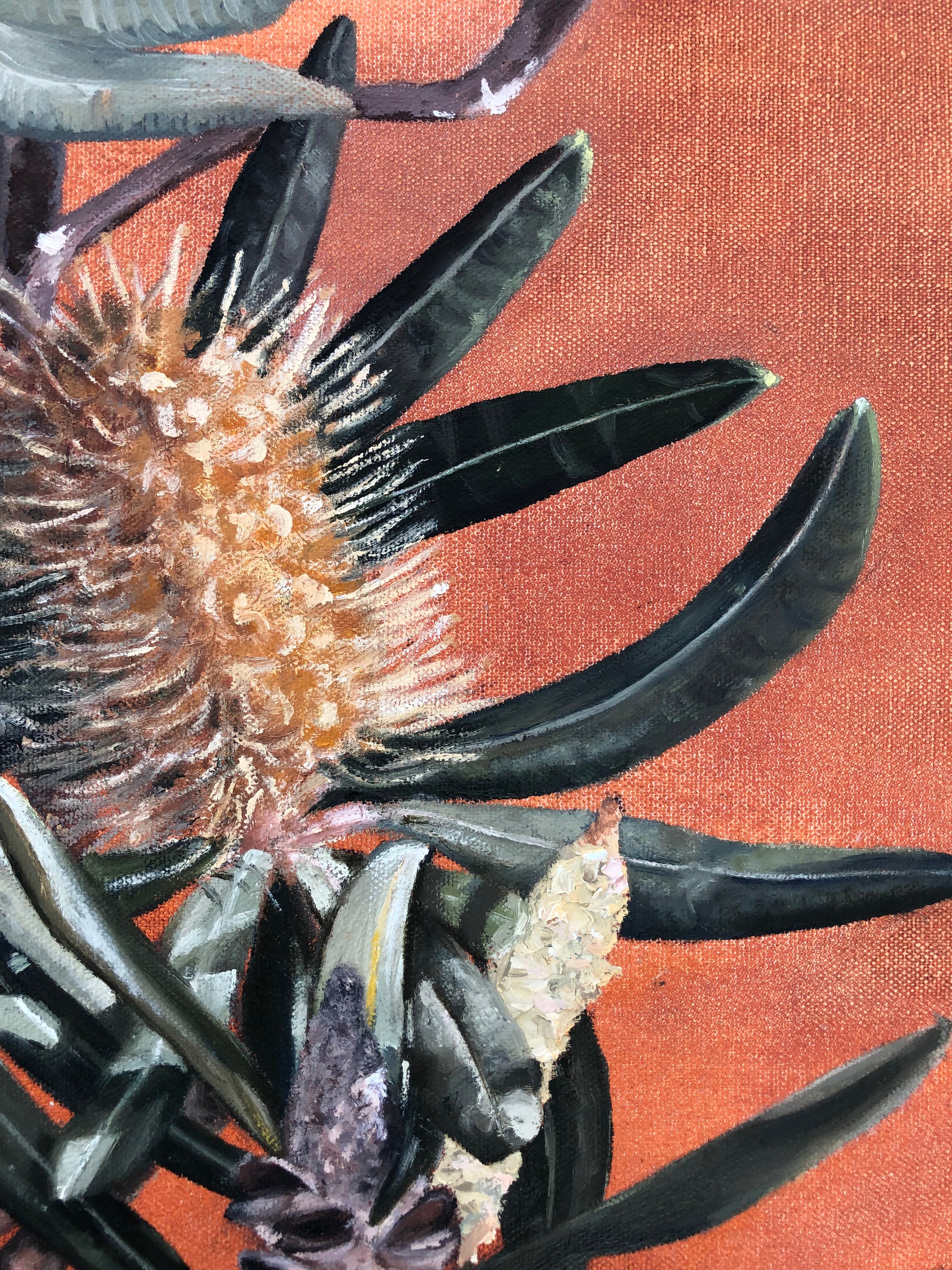 Banksia Garden