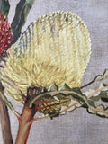 Banksia Duo