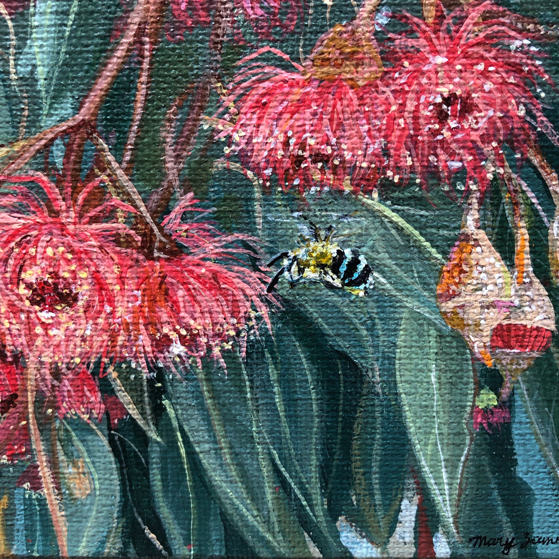 Flowering Gum & Blue Banded Bee