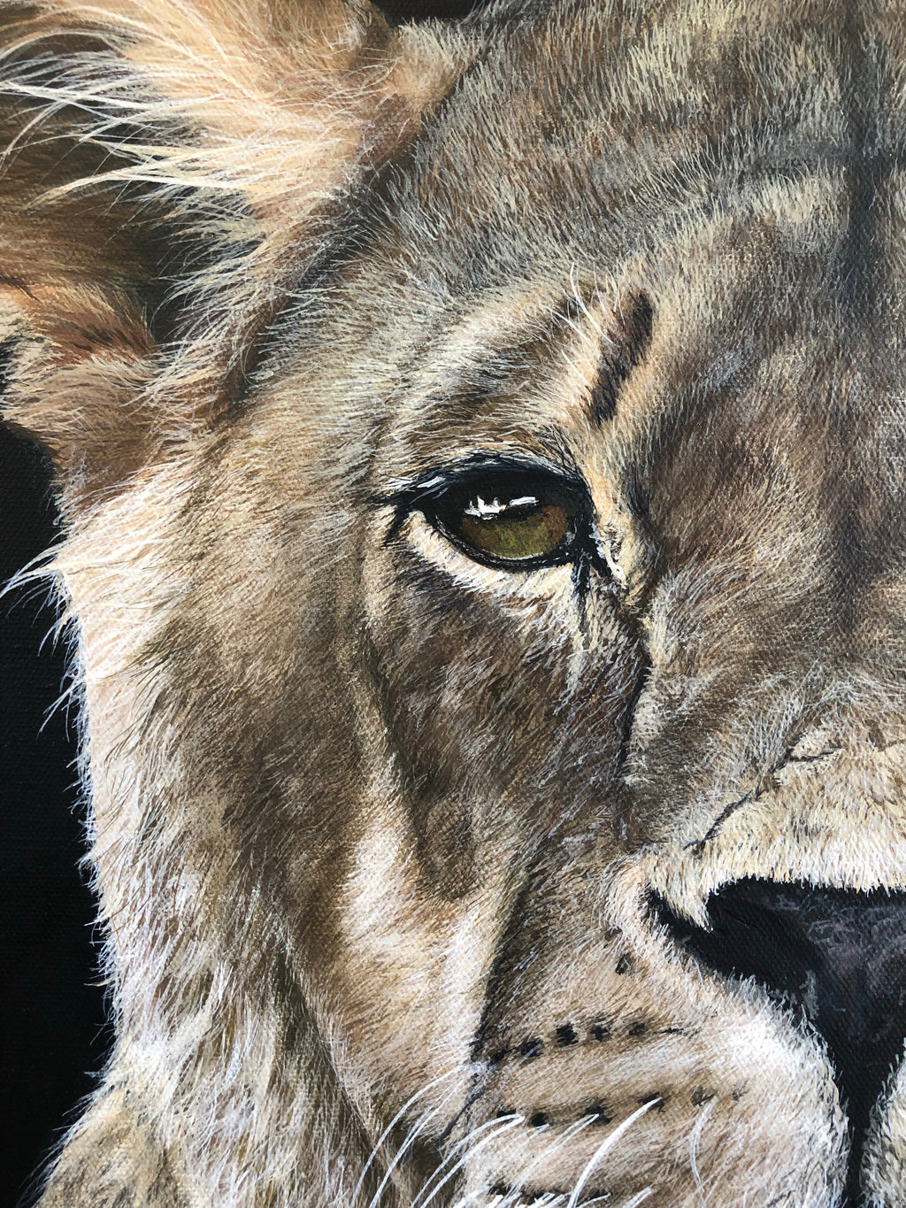Original Lioness