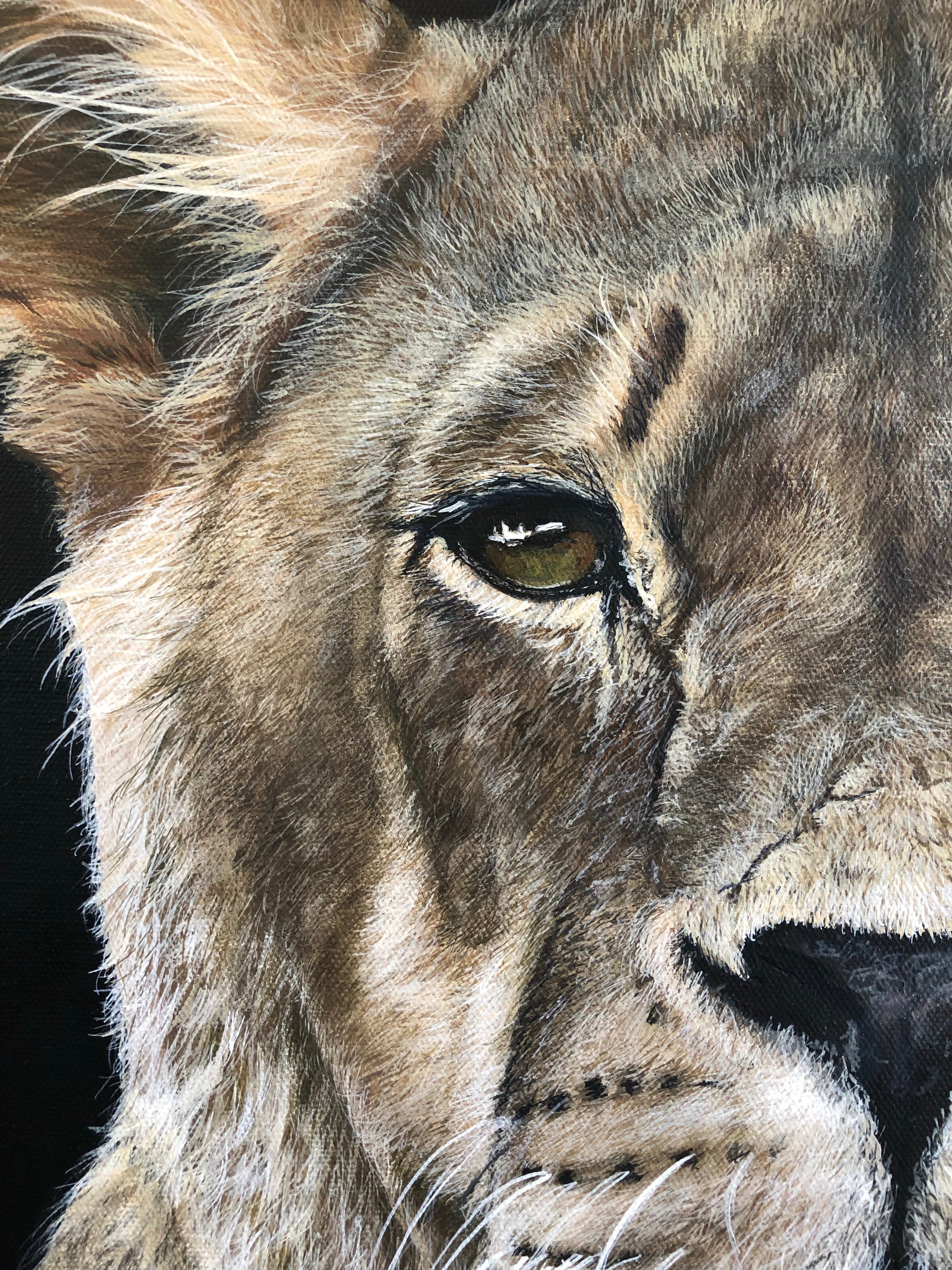 Original Lioness