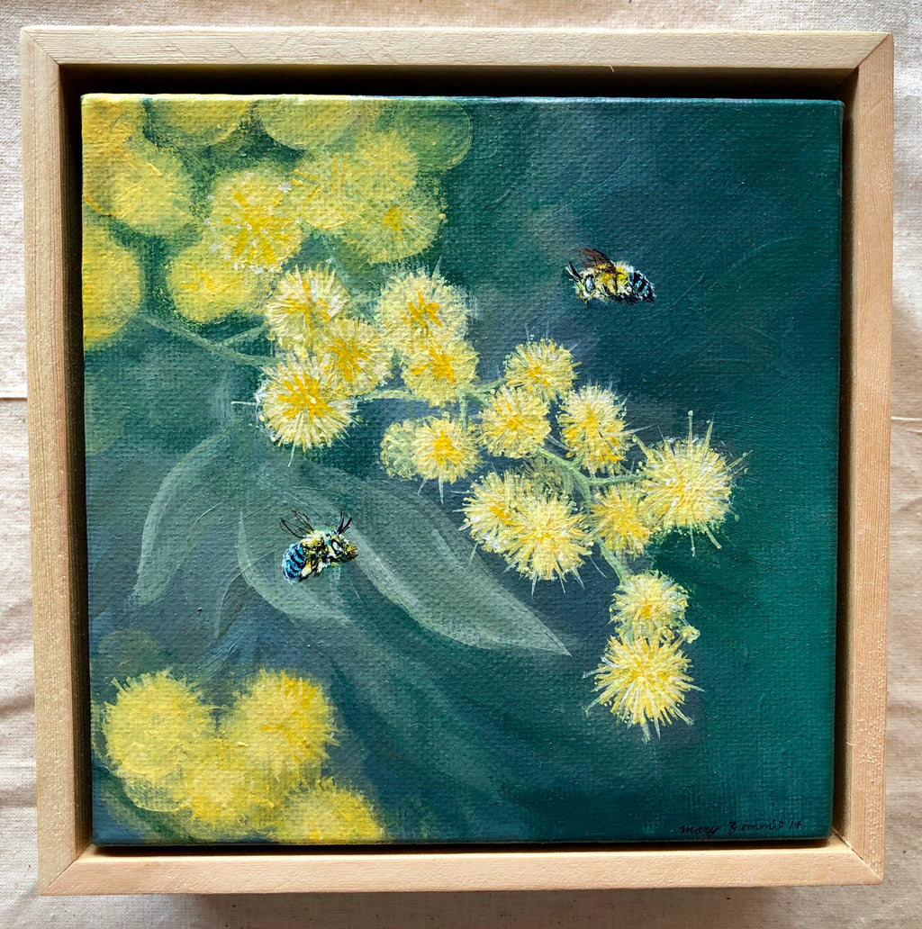 Wattle & Blue Banded Bees