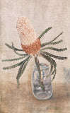 Banksia in Jar