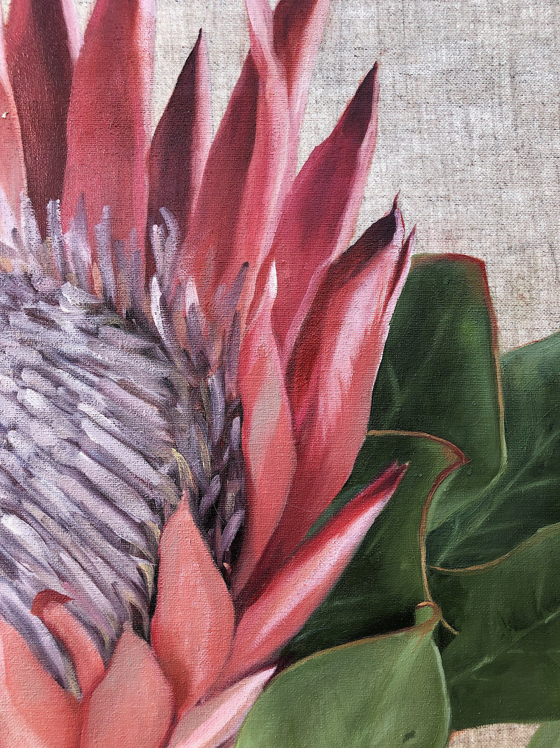 King Protea
